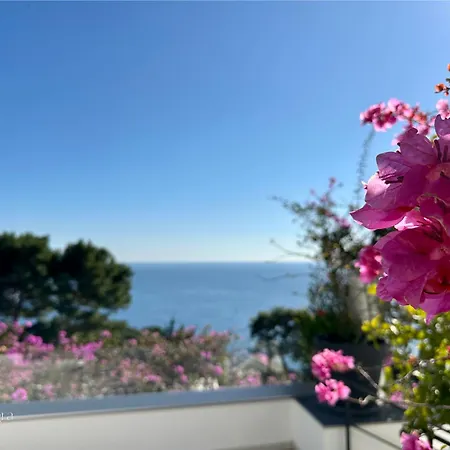 Villa Allegra *