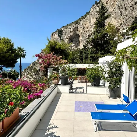Allegra * Capri